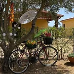 Casa Malo 2